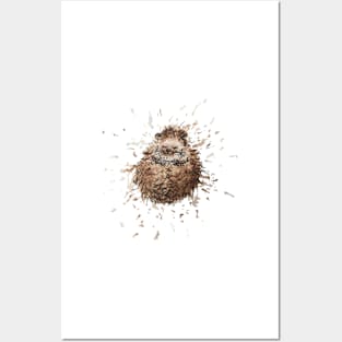 Hedgehog Posters and Art